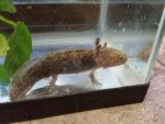 20150507_095816.jpg