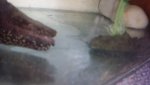 20150512_121248.jpg