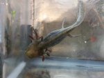 20150516_184934.jpg