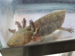 20150516_185106.jpg