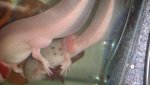 20150525_233513.jpg