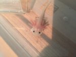 IMG_0644.jpg IMG_0644.jpg