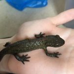 uploadfromtaptalk1433233524963.jpeg uploadfromtaptalk1433233524963.jpeg