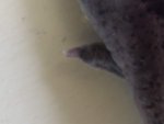 DSCF9186.jpg