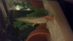 20150618_001814.jpg