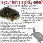 Picky eater poster.jpg