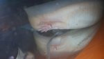 20150721_113422.jpg
