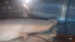 20150721_120802.jpg