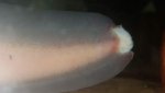 20150722_162059.jpg