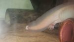 20150722_161926.jpg