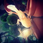 IMG_20150817_140818.jpg