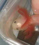 20150822_014037.jpg
