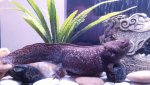 20150822_180417.jpg