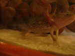 photos 019.jpg