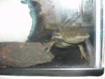DSC04284.jpg
