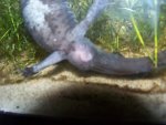 100_0301.jpg