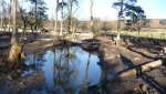 Four of the newly excavated ponds.  In the foreground is one of the deeper ponds, to the rear an.JPG