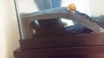 20151003_202958.jpg 20151003_202958.jpg