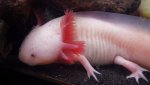 20151020_034316.jpg