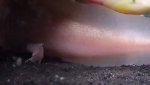 20151020_034424.jpg