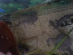 20151024_154737.jpg
