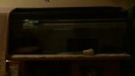 DSC00417.jpg