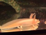 IMG_3433.jpg