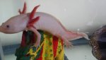 20151216_142459.jpg