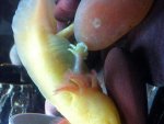 IMG_0005.jpg