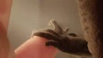 20160102_232930.jpg