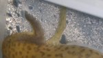 20160106_172427.jpg