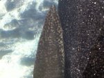 20160111_175736.jpg