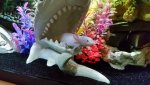 20160110_202149.jpg