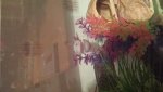20160113_205741.jpg