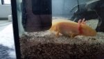 20160307_170755.jpg