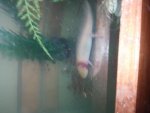 20160307_185426.jpg