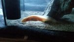 20160311_175810.jpg