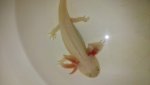 20160319_150716.jpg