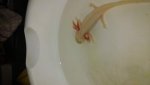 20160319_150721.jpg