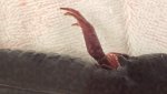 20160328_150012.jpg