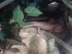 2016-03-29 20.29.50.jpg