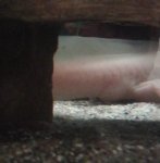 2016-03-29 20.30.28.jpg