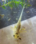 20160416_172133.jpg