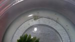 20160429_145816.jpg