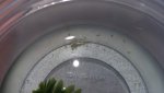 20160429_145827.jpg