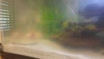 20160430_150352.jpg