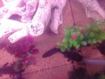 IMG_20160515_194437.jpg
