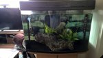 WP_20160523_08_45_23_Pro.jpg
