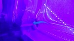 20160517_181458.jpg