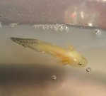 20160528_221423.jpg